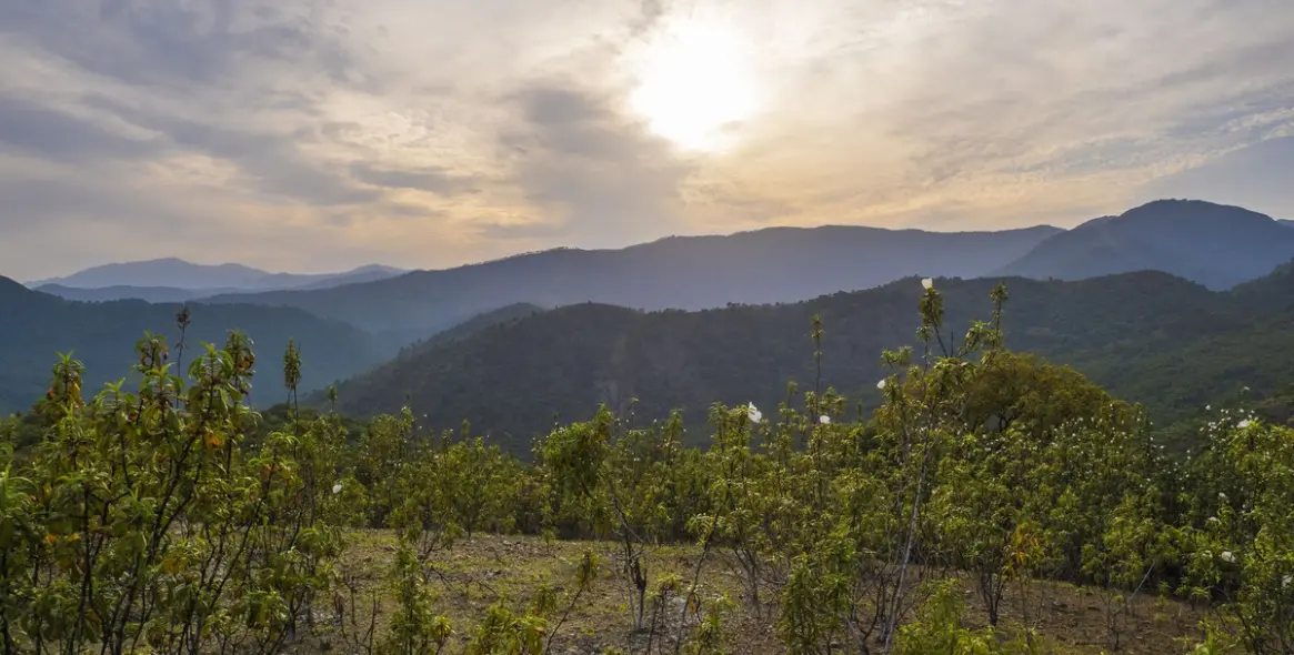 Продажа  жилого участка в La Zagaleta 11