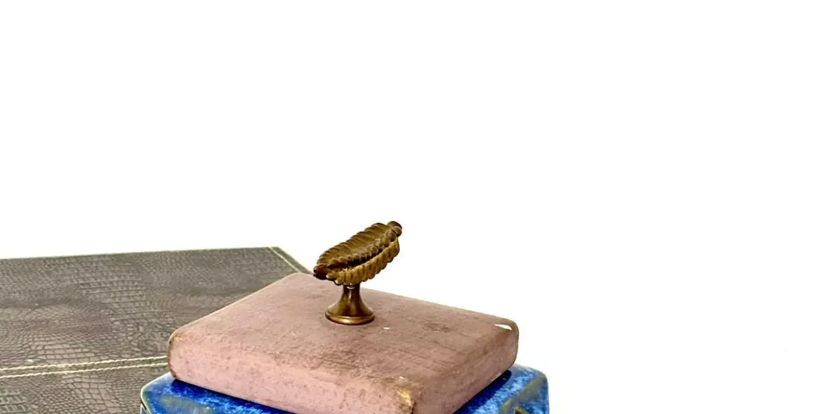 Sale of townhouse in Cortijo Blanco 12