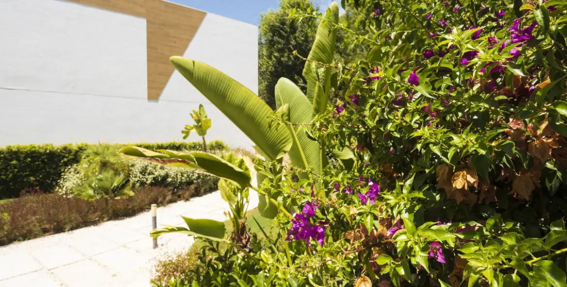 Долгосрочная аренда таунхауса в Marbella 41