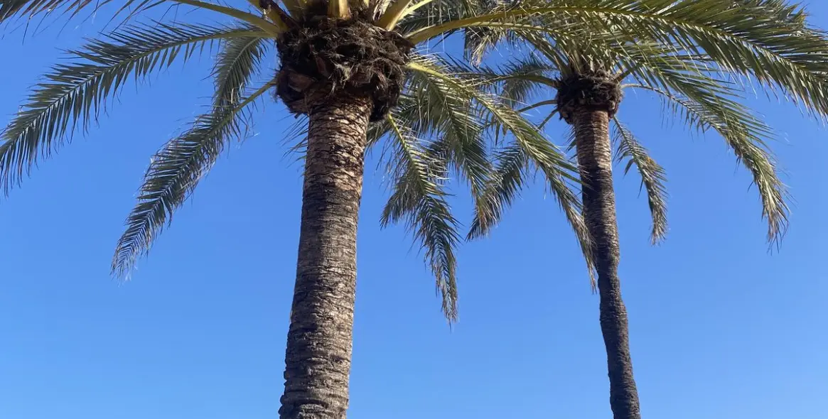 Sale of penthouse duplex in Benalmadena 34