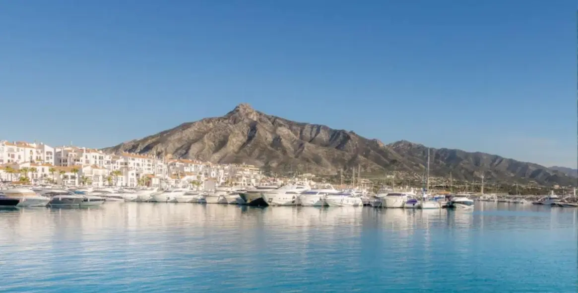 Долгосрочная аренда  отдельно стоящей виллы в Nueva Andalucía 40