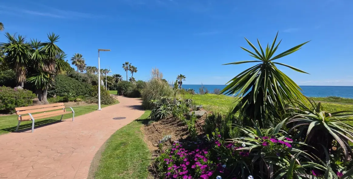 Venta de estudio en Costalita 20