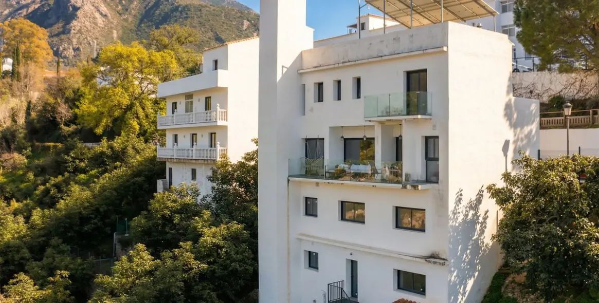 Sale of detached villa in Istán 1