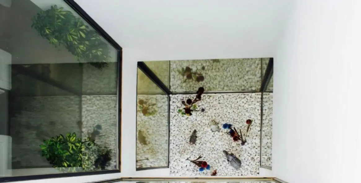 Долгосрочная аренда  отдельно стоящей виллы в Estepona 31