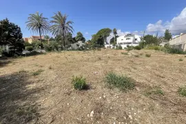 Image 8 thumb
