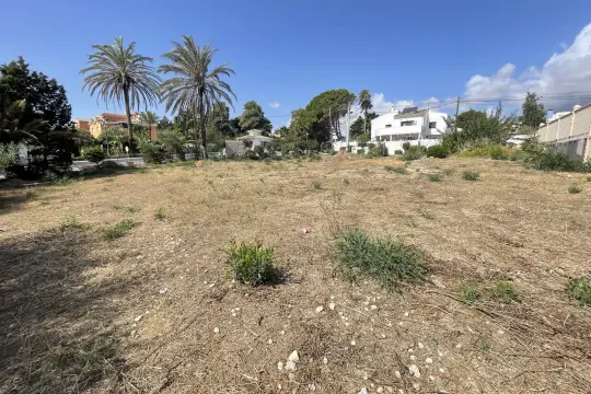 Image 8 thumb