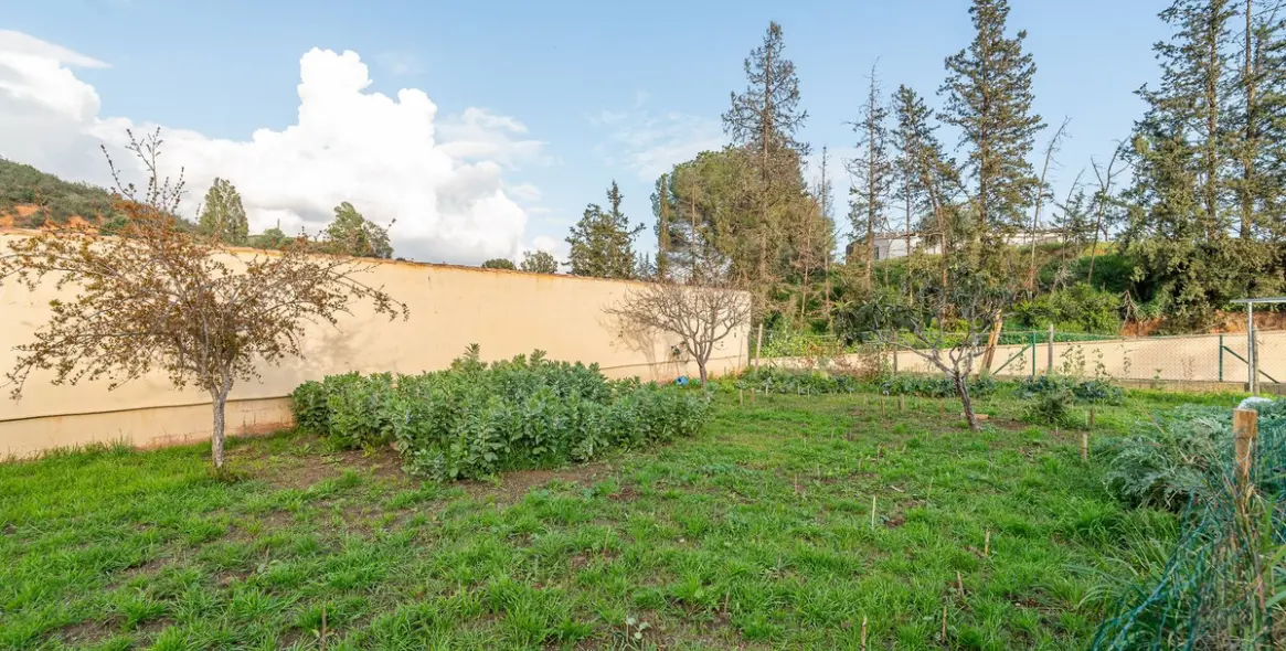 Sale of detached villa in Mijas 47