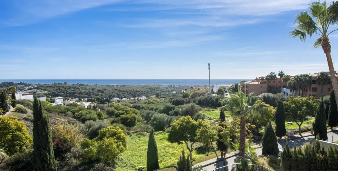 Sale of detached villa in Los Flamingos 69