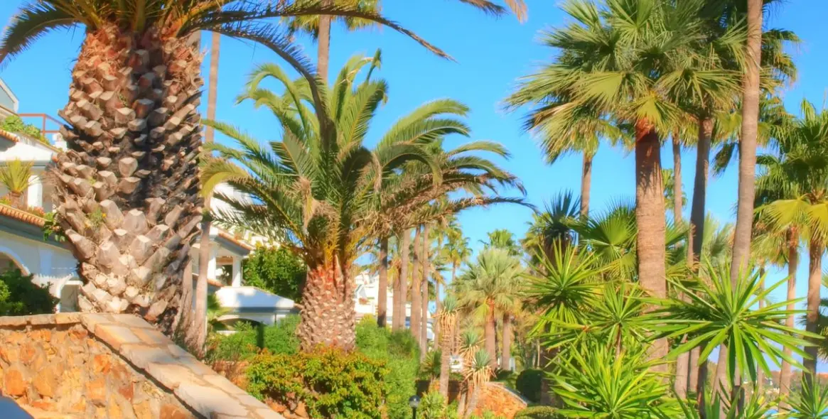 Alquiler a corto plazo de ático en Estepona 26