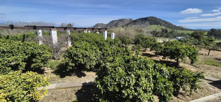 Venta de finca - cortijo en Cártama 2