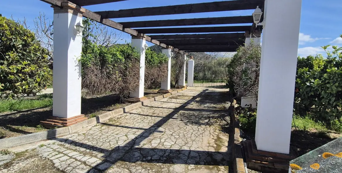 Venta de finca - cortijo en Cártama 4