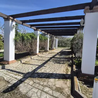 Venta de finca - cortijo en Cártama