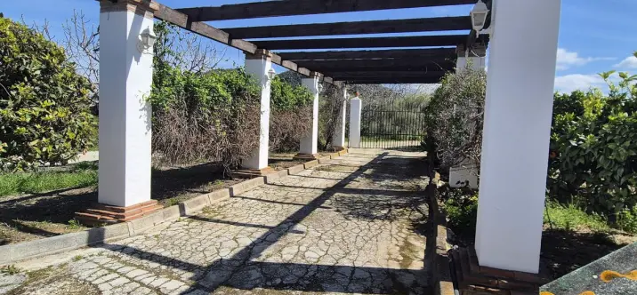 Venta de finca - cortijo en Cártama 3