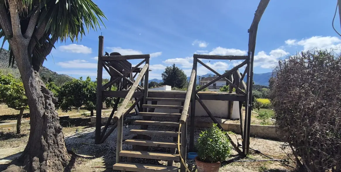 Venta de finca - cortijo en Cártama 40