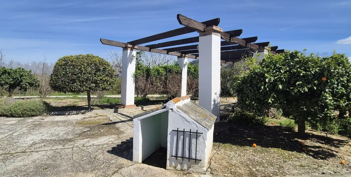 Venta de finca - cortijo en Cártama 41