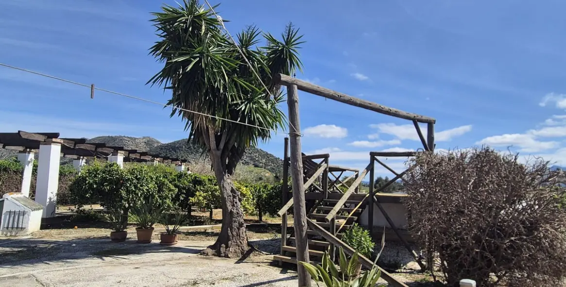 Venta de finca - cortijo en Cártama 43