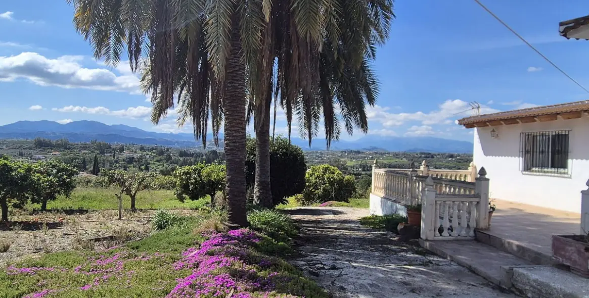 Venta de finca - cortijo en Cártama 45