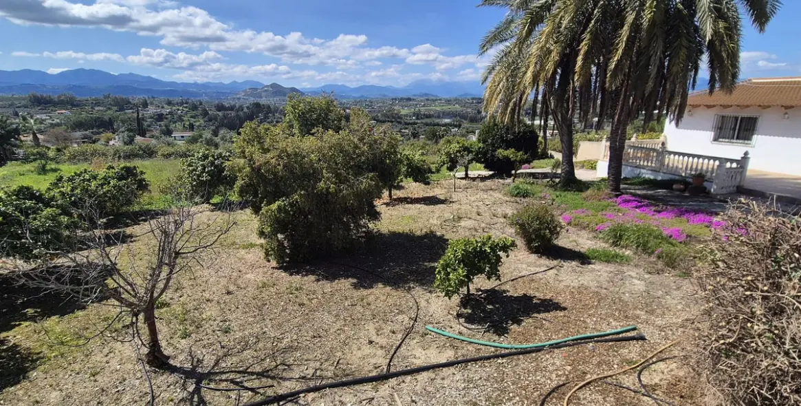 Venta de finca - cortijo en Cártama 48