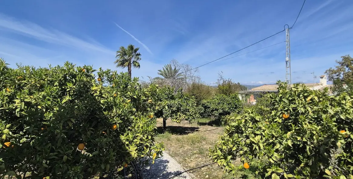 Venta de finca - cortijo en Cártama 49