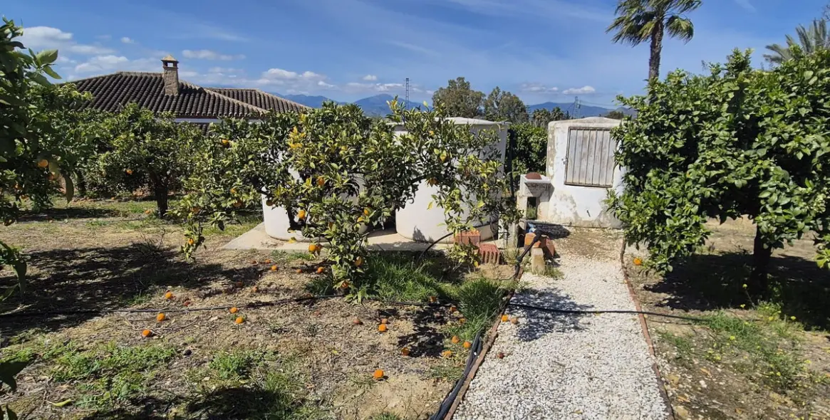 Venta de finca - cortijo en Cártama 50