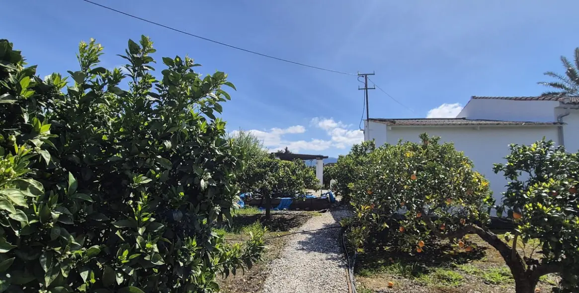 Venta de finca - cortijo en Cártama 51