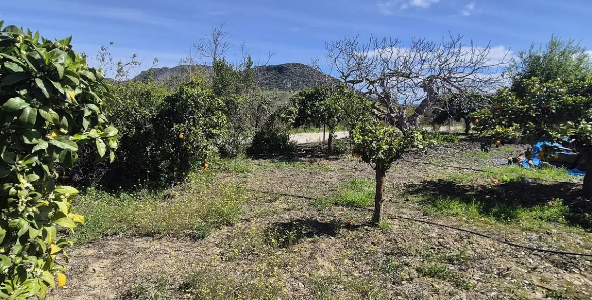 Venta de finca - cortijo en Cártama 52
