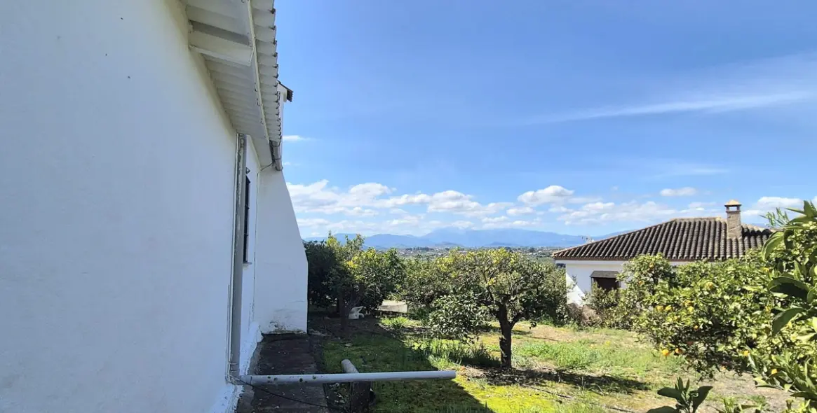Venta de finca - cortijo en Cártama 54