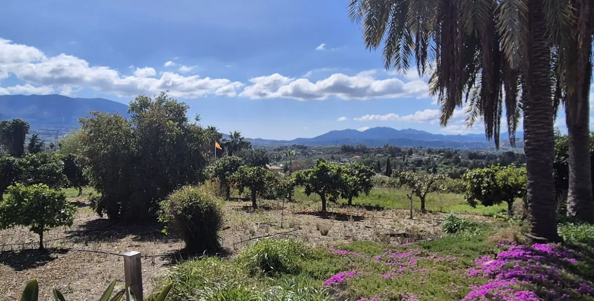 Venta de finca - cortijo en Cártama 55