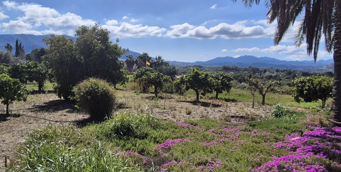Venta de finca - cortijo en Cártama 56