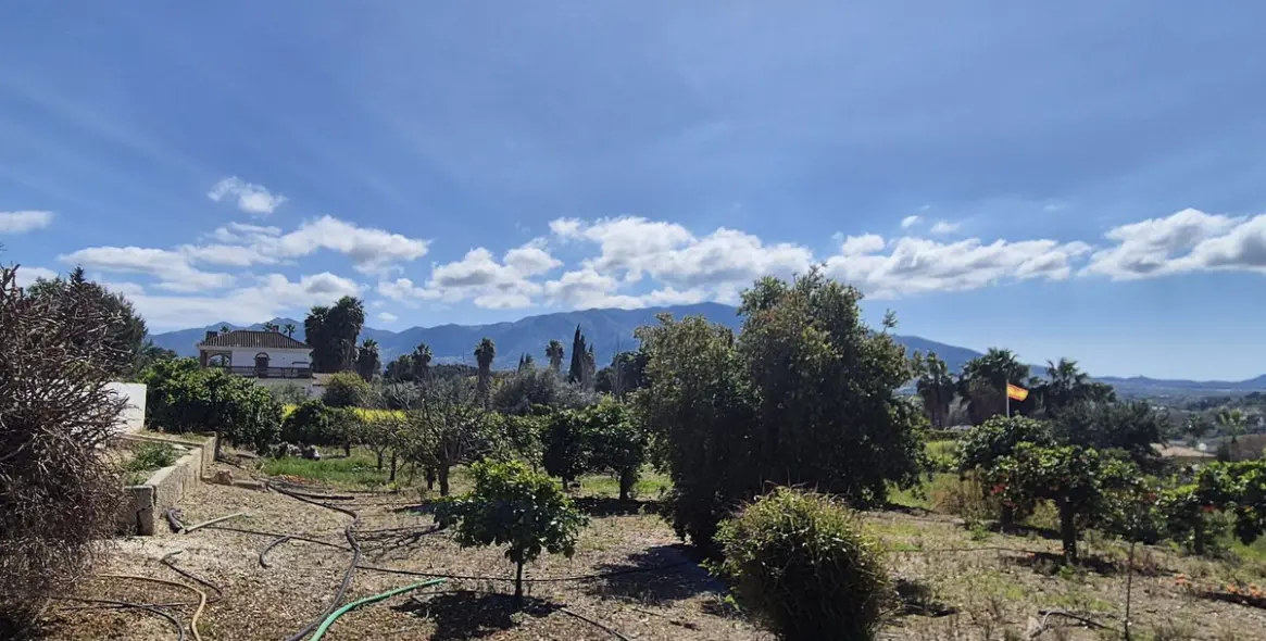 Venta de finca - cortijo en Cártama 57