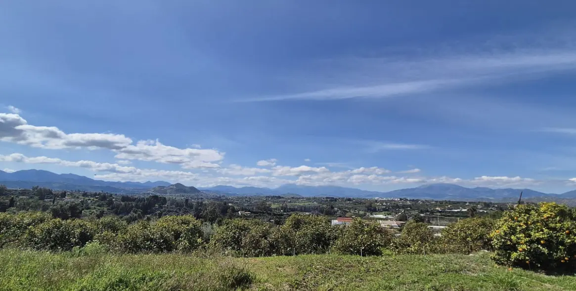 Venta de finca - cortijo en Cártama 59