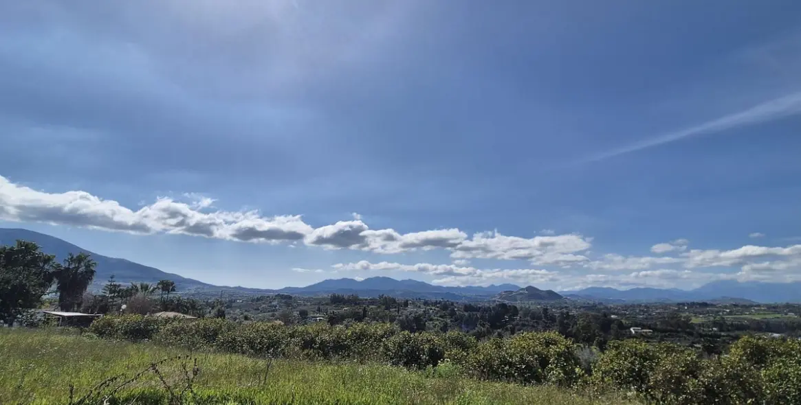 Venta de finca - cortijo en Cártama 60