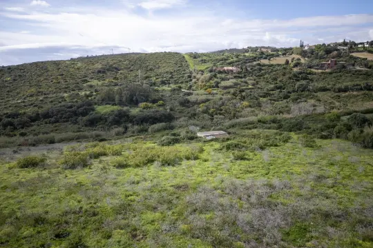 Image 8 thumb