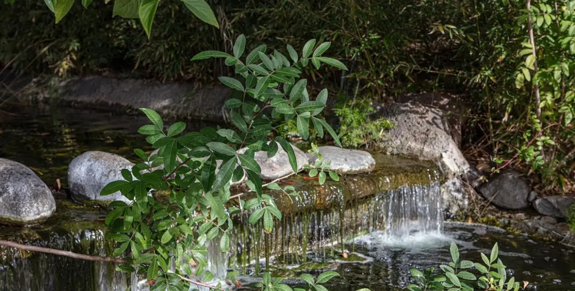 Долгосрочная аренда апартаментов на среднем этаже в Costalita 18