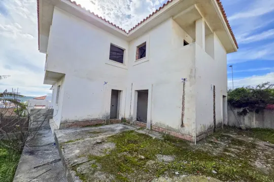 Image 4 thumb