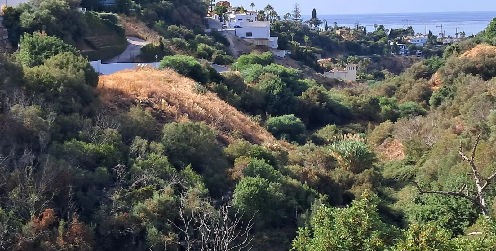 Venta de parcela residencial en Marbella 2