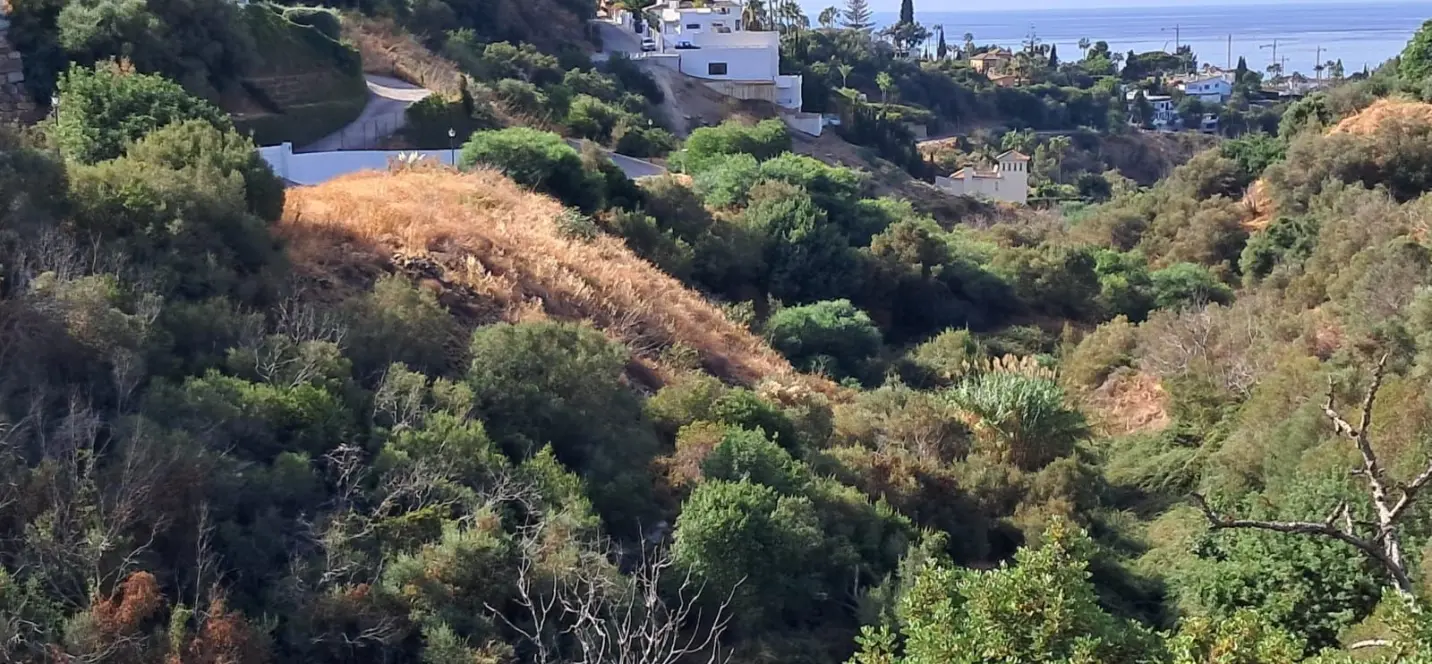 Продажа  жилого участка в Marbella 1