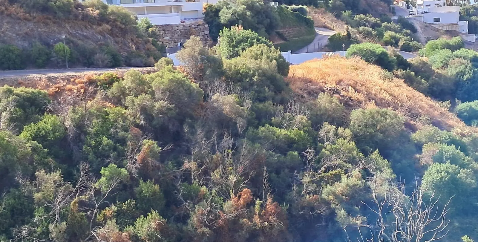 Venta de parcela residencial en Marbella 3