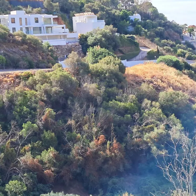 Продажа  жилого участка в Marbella