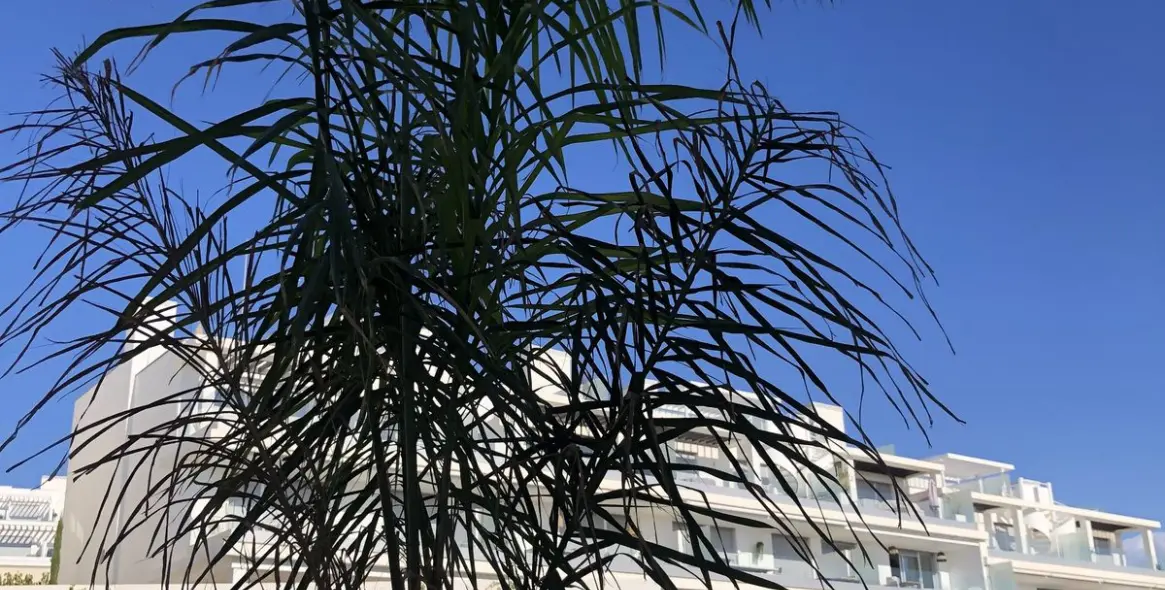 Продажа апартаментов на среднем этаже в Cancelada 22