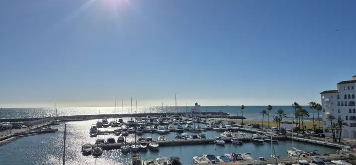 Sale of penthouse duplex in La Duquesa 0