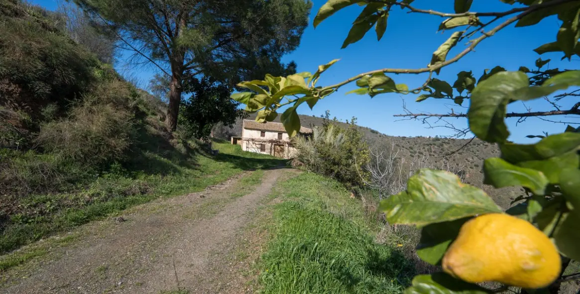 Продажа  отдельно стоящей виллы в Colmenar 1