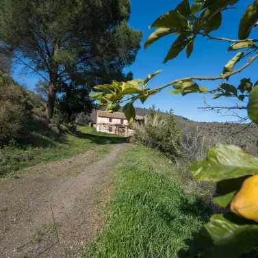 Sale of detached villa in Colmenar