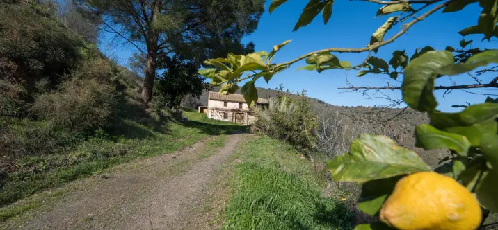 Sale of detached villa in Colmenar 0