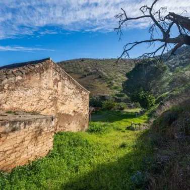 Sale of detached villa in Colmenar