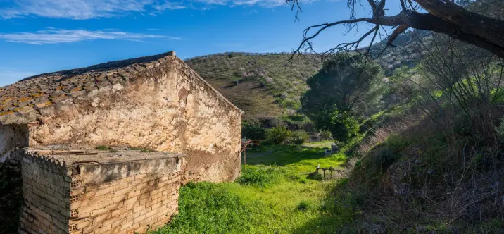 Sale of detached villa in Colmenar 2