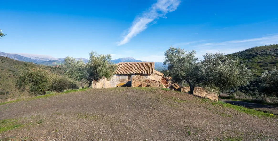 Продажа  отдельно стоящей виллы в Colmenar 4