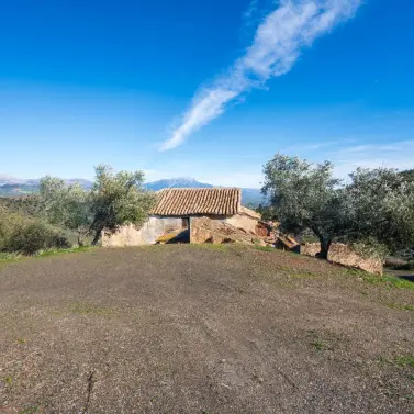 Sale of detached villa in Colmenar