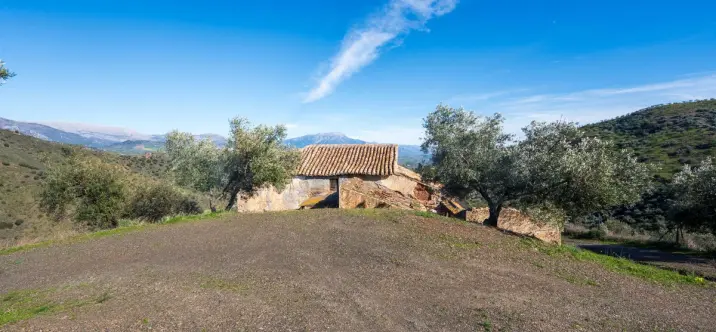 Sale of detached villa in Colmenar 3