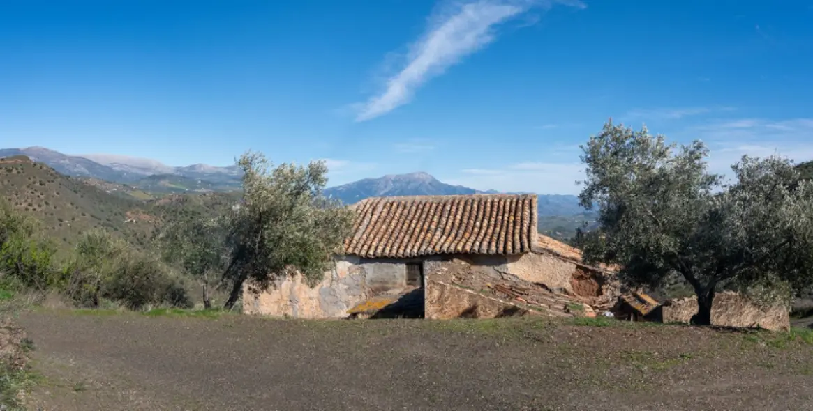 Продажа  отдельно стоящей виллы в Colmenar 6